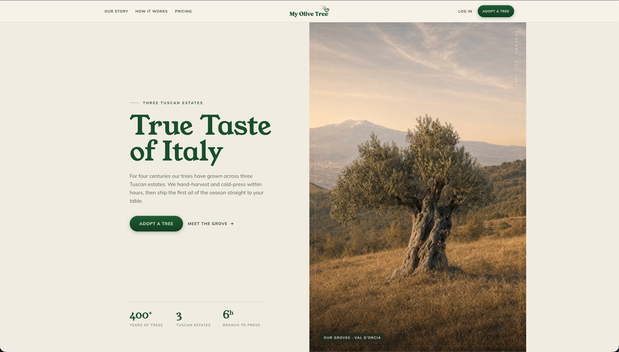 MyOliveTree homepage reading True Taste of Italy, Three Tuscan Estates, over a photograph of an ancient olive tree in the Val d’Orcia
