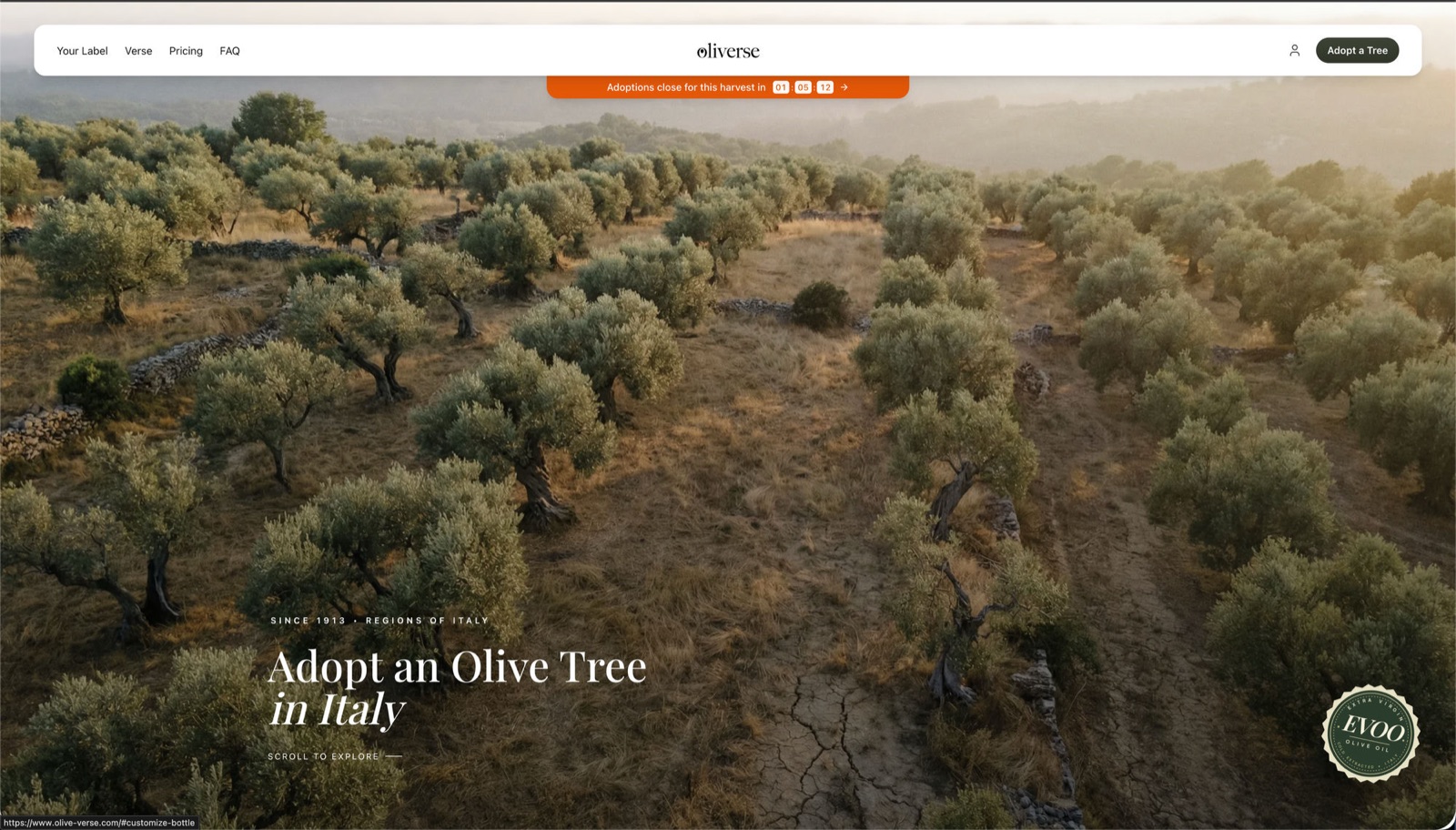 Oliverse homepage with the banner Since 1913, Regions of Italy over an aerial view of an olive grove